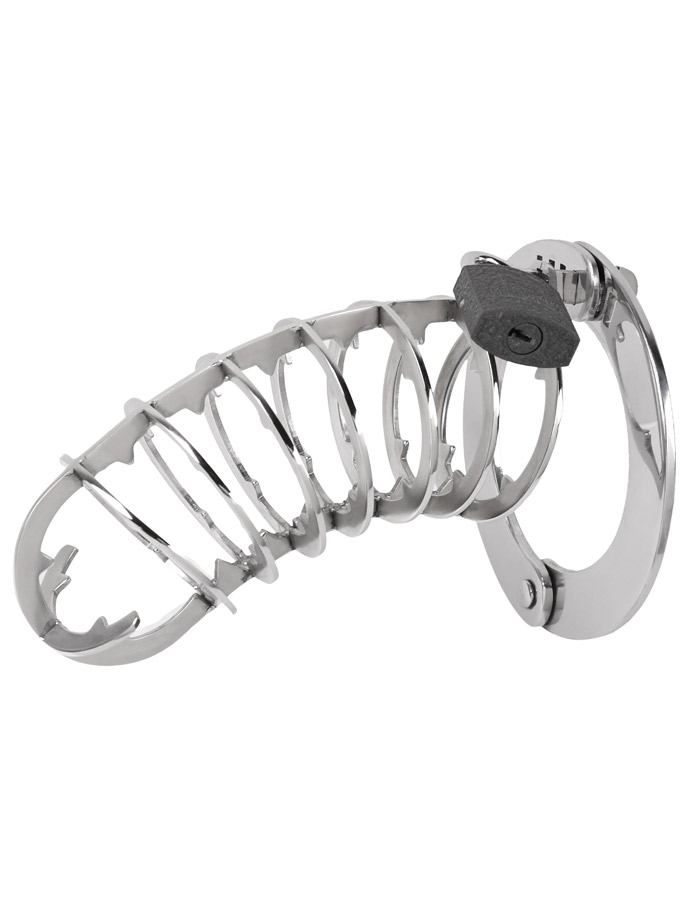 Chastity Cage Spiked - Stainless Steel